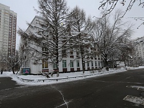 трехэтажная красивая школа среди зимних деревьев