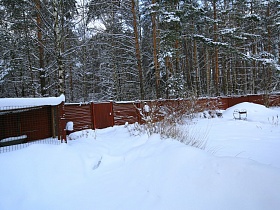 просторный участок художественной дачи за коричневым забором под снежным покровом среди густого соснового леса