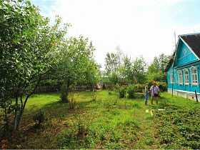 зеленые фруктовые деревья, ряд низких ягодных кустарников, клубника на длинной грядке на зеленом участке старой голубой дачи СССР у поля