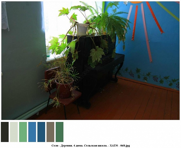 комнатные цветы в горшочках на поверхности черного пианино, на стуле и подоконнике у яркой голубой стены с изображением солнышка
