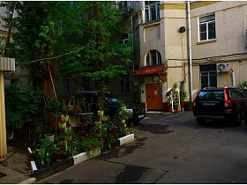 комнтные цветы на подставках в небольшом полисаднике с черно белым бардюром у желтого домика во дворе на Долгоруковской