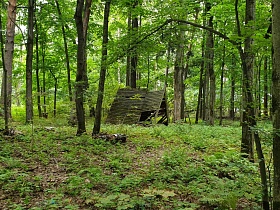 треугольное деревянное решетчатое укрвтие среди травы и опавших серых листьев на участке заброшенного старого дома в лесу