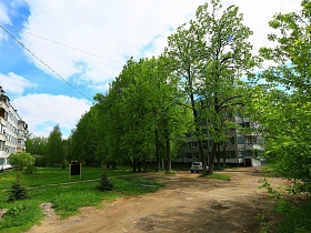 зеленая придомовая территория двух жилых пятиэтажек в областном квартале