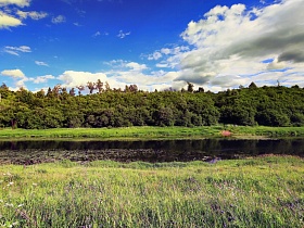 густой зеленый лес, высокая трава на плоском берегу реки напротив заброшенного санатория в деревне под голубым небом
