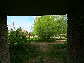 вид из под навеса входной двери подъезда заброшенного дома  на зеленый участок придомовой территории