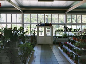 белые входные двери в стеклянный цветочный магазин с огромным ассортиментом комнатных растений на Лосином острове