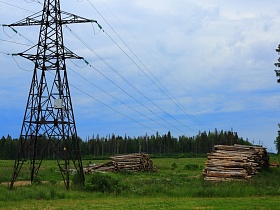 отдельные груды сухих стволов спиленных деревьев на зеленой траве лесоповала под линией электропередач в лесной зоне под ЛЭП