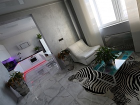 яркий бирюзовый стеклянный столик с комнатным цветком на ковре, стилизованном под шкуру зебры в гостинной с белой мебелью, белыми вертикальными жалюзи на окне и открытым дверным проемом на кухню с белой мебельной стенкой