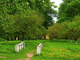 протоптанная тропинка с бетонными белыми перилами среди зеленой травы в цветущем яблоневом саду с побеленными стволами