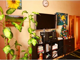 большие зеленые листья высоких комнатных растений, картины, круглые часы и телевизор на бежевой стене восточной спальни с музыкальным центром на длинной тумбе