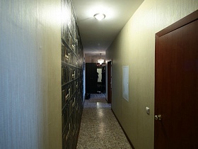 большой длинный коридор со светлыми стенами, круглым светильником на белом потолке и светлым линолеумом на полу простой современной трехкомнатной квартиры