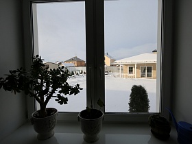 вид на соседний дом из окна с комнатными цветами в горшочках и синей лейкой для полива на белом подоконнике