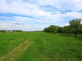накатанная дорога в поле с яркой зеленой травой между жилым поселком и лесом в живописном месте Подмосковья