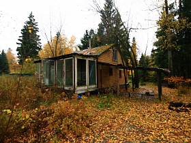 небольшой деревянный домик-лачуга с террасой под стеклом среди высоких зеленых елей у озера