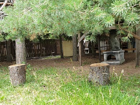 открытая печь, круглые пеньки от деревьев на зеленом дворе между высокими зелеными соснами и деревянным домом за дощатым забором в деревне
