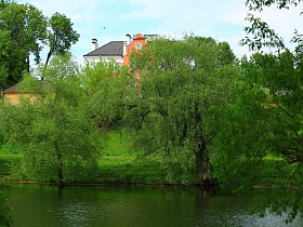элитный двухэтажный двухцветный дом с постройками за забором сквозь ветви плакучей ивы на берегу реки в живописном месте Подмосковья
