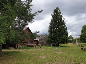 домик-сруб дерево с треугольной крышей и хозпостройками на большом дворе с деревянными скамейками на зеленой траве среди высоких зеленых сосен для кино