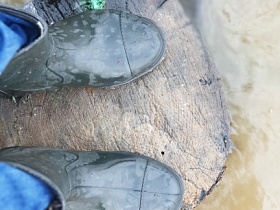 Ноги в резиновых сапогах на пне, стоящем в воде