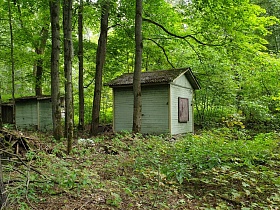 небольшие деревянные постройки на участке старого заброшенного дома среди высоких деревьев в зеленом лесу