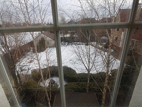 вид из окна на большой зимний  участок с декоративно оформленными кустарниками