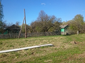 серая кошечка на дороге открытого поля перед жилыми деревянными домами за штакетным забором в деревне Троица