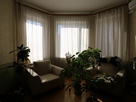 большие комнатные цветы на полу, светло серые мягкие кресла у больших эркерных окон с белой гардиной в гостиной простой большой семейной квартиры в Марьино