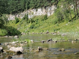 каменистое дно мелководной реки  с крутым скалистым берегом с хвойным лесом