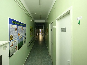красочные стенды с познавательной информацией на стенах длинного коридора детского сада