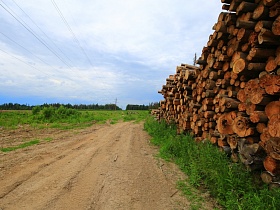 накатанная дорога в лесной зоне с аккуратно сложенными в штабеля из спиленных стволов деревьев для ЛЭП