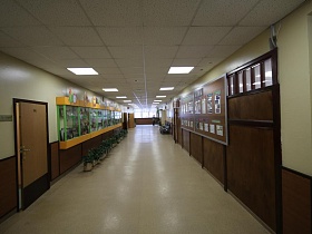 стенд с фотографиями на стене длдинного коридора школы