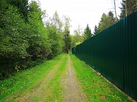 узкая дорога вдоль густого леса и зеленого забора кирпичного двухэтажного дома
