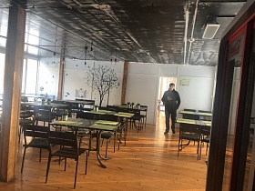 изображение дерева на белых стенах дорожного стеклянного кафе с рядами столов и стульев на деревянном полу