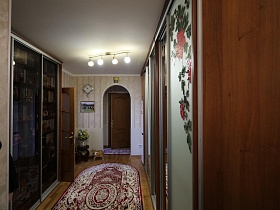 книги на полках шкафа-купе за стеклянными дверцами в прихожей с цветным ковром на полу в квартире врача