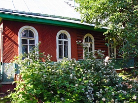 цветущий кустарник у коричневой стены с арочными окнами деревянной художественной дачи-музей эпохи СССР