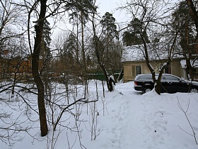 лиственные и хвойные деревья на заснеженном участке советской деревяной профессорской дачи с овальной террасой