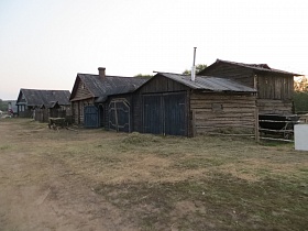 деревянные дома под треугольной крышей с различными дворовыми постройками за деревянным открытым забором вдоль улицы большой деревни начала 20-го века