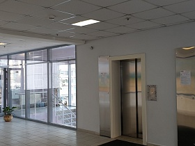стальные полированные двери лифтов в светлом просторном холле с комнатными цветами на полу у стеклянной стены вдоль высоты лестницы современного подъезда