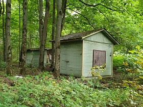 небольшие деревянные коробки, окрашенные в голубой цвет, под треугольной крышей из шифера на участке заброшенного дома,заросшим травой в густом зеленом лесу