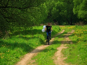 велосипедист на проселочной дороге в живописном месте Подмосковья среди яркой зелени деревьев и густой травы