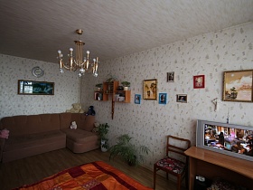 мягкий коричневый угловой диван, комнатные цветы, стул, компьютерный угловой стол у светлых стен спальной комнаты с картинами, настенной полкой и фотографиями в рамках
