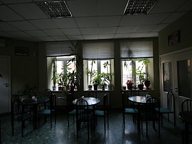 стулья со спинкой на металлических ножках вокруг круглых черных столиков у окон с комнатными цветами и жалюзи в офисном кафе