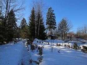 аккуратно расчищенные дорожки от снега на участке с высокими елями и арочным мостиком