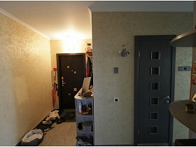 спальный домик домашнего животного, коврики с обувью у стены и входной двери в прихожую двухкомнатной квартиры новостроя