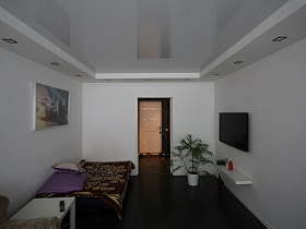 тахта с подушками на коричневом покрывале у стены с картиной, высокая пальма в углу, настенная полочка под телевизором в гостиной с белыми стенами и натяжным потолком просторной квартиры на первом этаже
