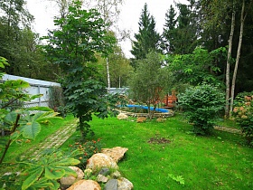 альпийская горка и бассейн на зеленой лужайке семейного дома в глухом лесу