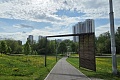 blog-image