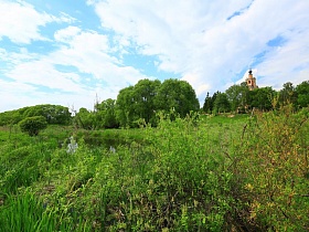 церковь на горе с протекающей у подножия рекой в живописном месте Подмосковья среди зеленой высокой травы и лиственных деревьев в летнее время