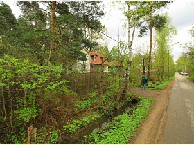 ровная дорога вдоль дачных домов зеленого поселка в летнее время