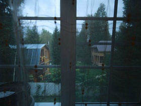 вид из окна на зеленый ухоженный участок за забором и соседние дома среди густого хвойного леса