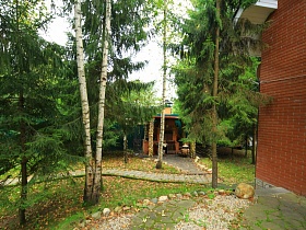 высокие зеленые ели и березы на участке с дорожками у кирпичного двухэтажного дома в хвойном лесу
